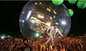 Outside Lake Adults Inflatable Hamster Balls For Humans Water Dancer Ball supplier
