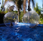 Enjoyable Inflatable Water Walking Balls / Human Inflatable Hamster Ball supplier